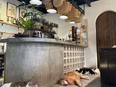 -自由生长植物工作室(深港花卉中心店)