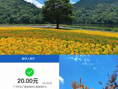 -广州市石门国家森林公园