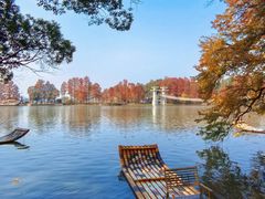 -东湖落雁景区
