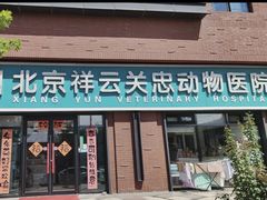 -瑞派·关忠动物医院猫科外科·异宠·24小时转诊中心(祥云店)