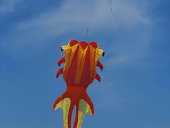 -古柏渡飞黄旅游区