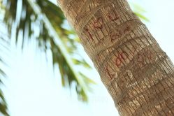 -太古映画婚纱摄影(天河店)