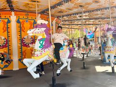 -南京银杏湖乐园