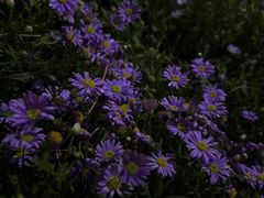 -大妙火锅·非物质文化遗产(东湖公园店)