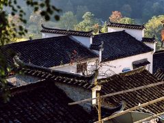 -塔川景区