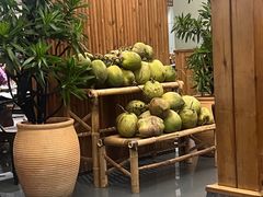 -百年果林椰子鸡(宝安总店)