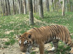 -北京野生动物园
