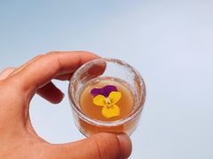 -青山研究所Aoyama Lab