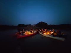 -上海海湾国家森林公园