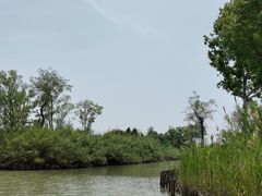 -泗洪洪泽湖湿地景区