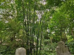 -成都杜甫草堂博物馆