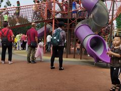 -枫香湖儿童公园