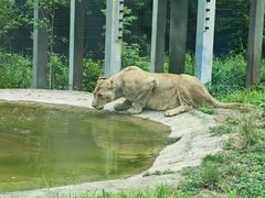 -西安秦岭野生动物园