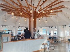 -ChanDu躔度咖啡(灯塔店)