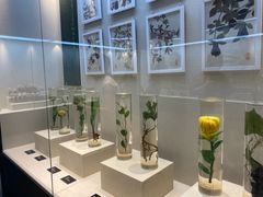 -广东中医药博物馆