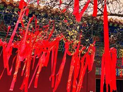 -宝通禅寺