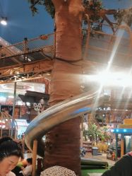 -卡通尼·Safari非洲探索乐园·生日会(金桥国际商业广场店)