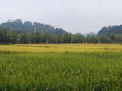 -安顺旧州古镇
