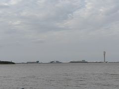 -上海滨江森林公园