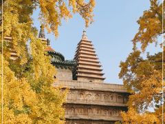 -北京石刻艺术博物馆(五塔寺)