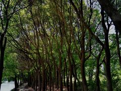 -广富林郊野公园-P5停车场