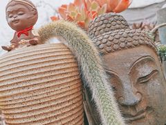 -金科花卉市场