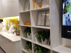 -七田布睿恩全脑早教(梅溪湖新天地步步高店)