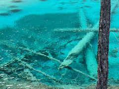 -九寨沟-树正沟