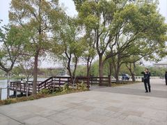 -新江湾城公园