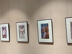 -淮国旧H22·中古店