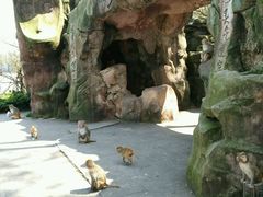 -广州市流溪河国家森林公园
