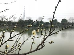 -桃园农庄·桃源宴