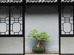 -成都杜甫草堂博物馆