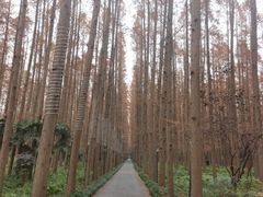 -上海怡沁园度假酒店