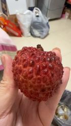 -阅年轻·AI家庭健康体质调理