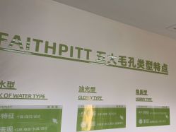 -凡碧诗毛孔清洁收细