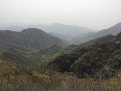 -大岭沟猕猴桃谷风景区
