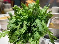 -犇鼎牛潮汕牛肉火锅(新辰里学清路店)
