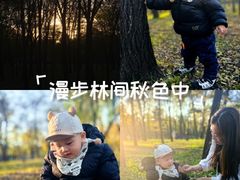 -森林公园(尖草坪区)