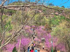 -天台山赤城山景区