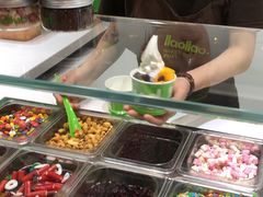 -Salud撒露欧洲冻酸奶(蓝色港湾店)