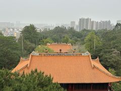 -三水森林公园