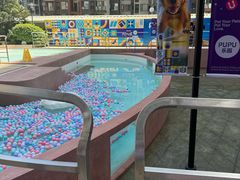 -帕帕拉兹宠物(亚洲旗舰店)