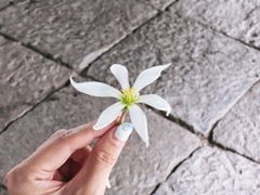 -上海方塔园