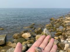 -潍坊滨海云门国际风筝放飞场