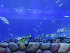 -华夏文旅海洋公园