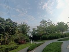 -福田红树林生态公园