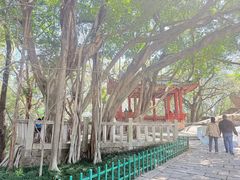 -乌山风景区