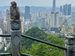 -黔灵山公园