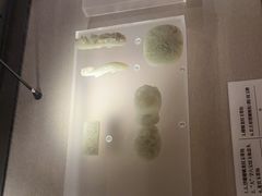 -呼和浩特博物馆